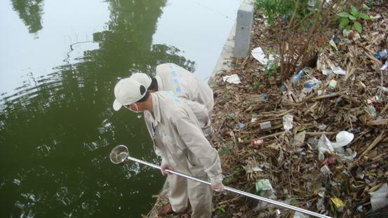 河道蚊幼密度检测.JPG